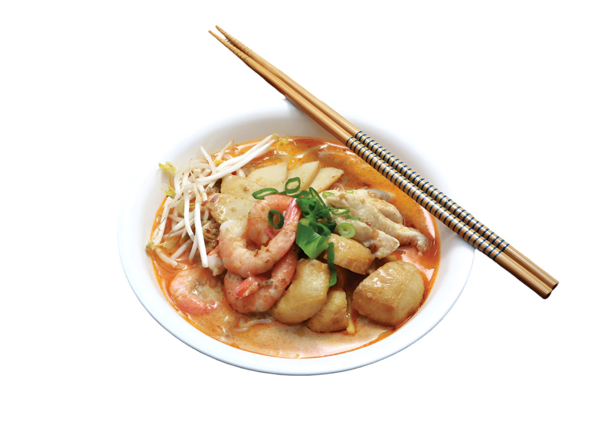 Laksa (Thick Egg Noodles and Rice Vermicelli)