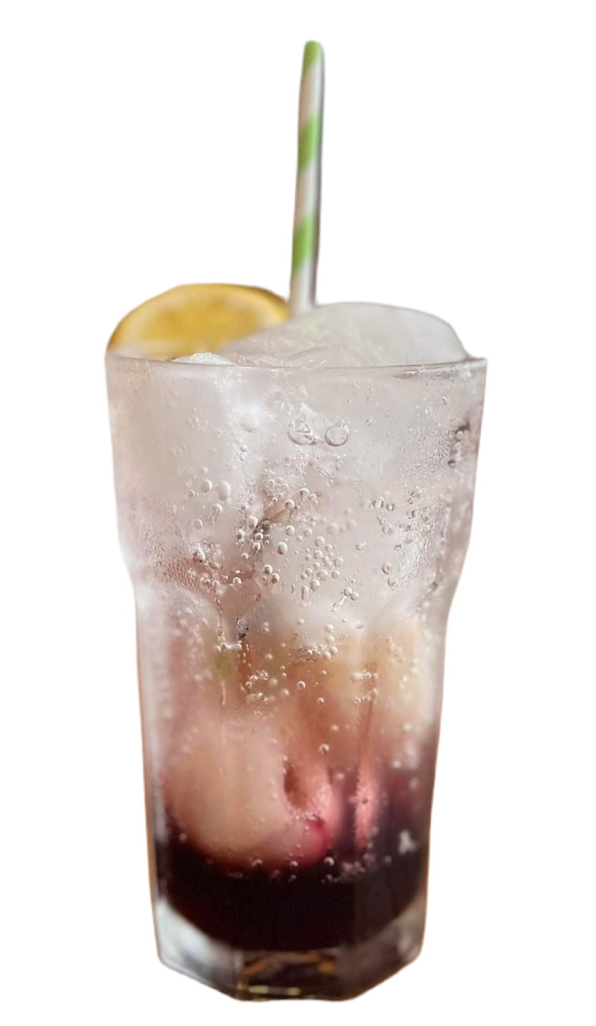 Sparkling Ribena Drink